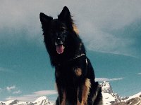 Shani